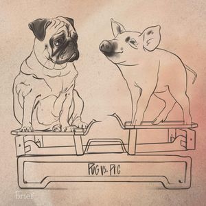 Brief #125 – Feministyczna polityka, prawa zwierząt i wulkany, Outride.rs