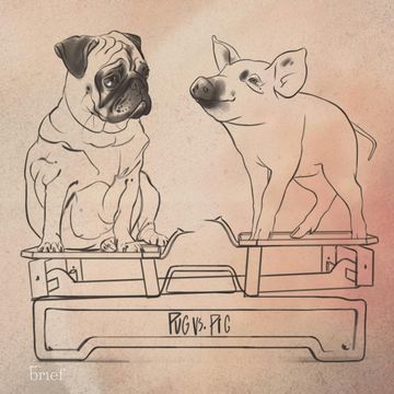 Brief #125 – Feministyczna polityka, prawa zwierząt i wulkany audiobook, Outride.rs