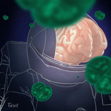 Brief #131 – Uprzedzenia językowe, Conan the Bacterium i yakuza audiobook, Outride.rs