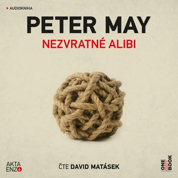 Nezvratné alibi audiobook, Peter May