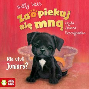 Zaopiekuj się mną. Kto utuli Juniora?, Holly Webb