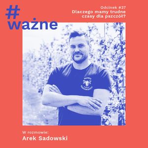 Dlaczego mamy trudne czasy dla pszczół?, Dominika Klimek