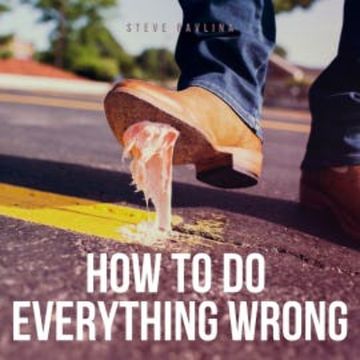 How To Do Everything Wrong audiobook, Steve Pavlina