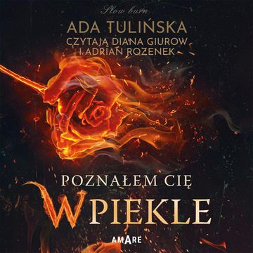 Poznałem Cię w piekle audiobook, Ada Tulińska