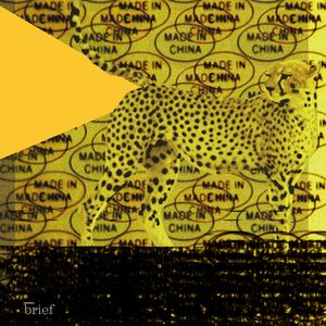 Brief #148 – Migracje klimatyczne, slow fashion i arabscy sokolnicy, Outride.rs