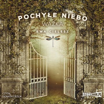 Pochyłe niebo. Tom 3. Ważka audiobook, Ewa Cielesz