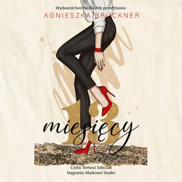 13 miesięcy audiobook, Agnieszka Brückner