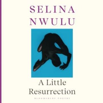 A Little Resurrection audiobook, Selina Nwulu