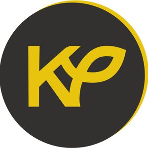 Maciejewski i Dukaj: Tolkien jest inspiracją Doliny Krzemowej | #KulturaPoświęcona, Bartosz Brzyski, Konstanty Pilawa, Piotr Kaszczyszyn