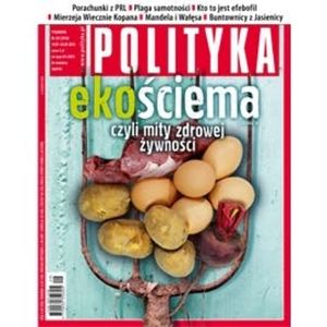 AudioPolityka Nr 29 z 17 lipca 2013, Polityka