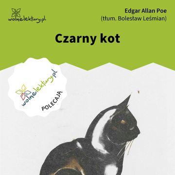 Czarny kot audiobook, Edgar Allan Poe