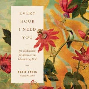 Every Hour I Need You audiobook, Katie Faris