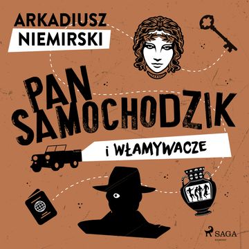 Pan Samochodzik i włamywacze, Arkadiusz Niemirski
