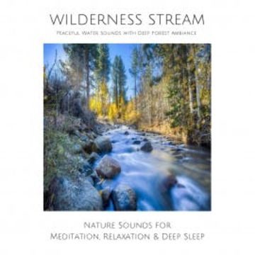 Wilderness Stream: Peaceful water sounds with deep forest ambience audiobook, Joe Hayworth