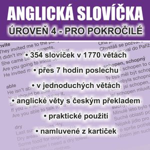 Anglická slovíčka - úroveň 4 pro pokročilé, Richard Ludvík