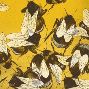 Brief #118 – Wybory w pandemii, sztuczne oko i strategia trzmieli, Outride.rs