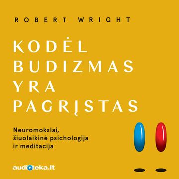 KODĖL BUDIZMAS YRA PAGRĮSTAS. Neuromokslai, šiuolaikinė psichologija ir meditacija audiobook, Robert Wright