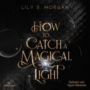 How to catch a magical Light (New York Magics 1) audiobook, Lily S. Morgan