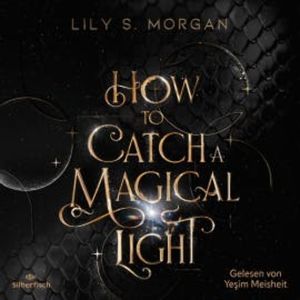 How to catch a magical Light (New York Magics 1), Lily S. Morgan