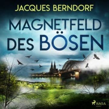 Magnetfeld des Bösen audiobook, Jacques Berndorf