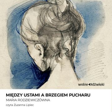 Między ustami a brzegiem pucharu audiobook, Maria Rodziewiczówna