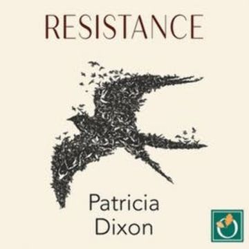 Resistance audiobook, Patricia Dixon