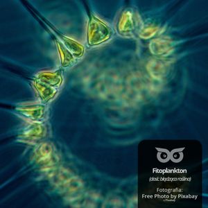 [10] Czy jesienią jest mniej powietrza?, Daniel Mróz