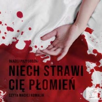 Niech strawi cię płomień audiobook, Błażej Przygodzki