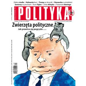 AudioPolityka Nr 39 z 23 września 2020 roku, Polityka