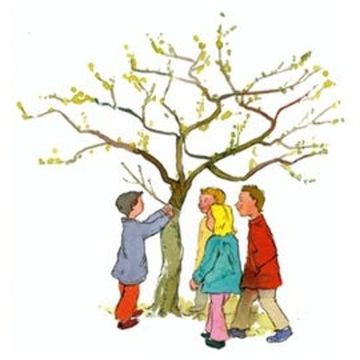 Odłamana gałąź audiobook, Tadeusz Ruciński