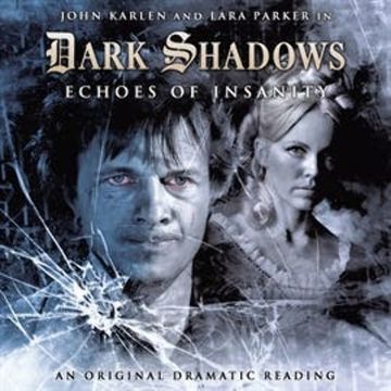 Dark Shadows 8: Echoes of Insanity audiobook, D Lynn Smith