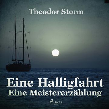 Eine Halligfahrt - Eine Meistererzählung audiobook, Theodor Storm.