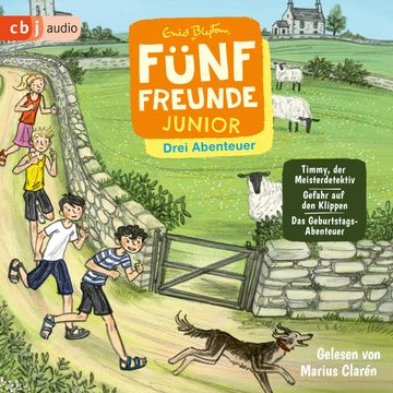 Fünf Freunde JUNIOR - Drei Abenteuer - Timmy, der Meisterdetektiv. Gefahr auf den Klippen. Das Geburtstags-Abenteuer audiobook, Enid Blyton