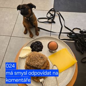 024 má smysl odpovídat na komentáře, Hana Kuncová, Lukáš Hejlík
