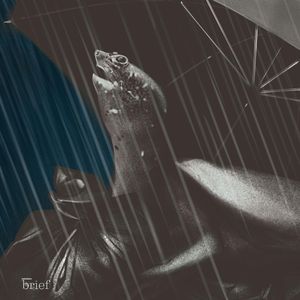 Brief #147 – Satelity z drewna, gaz z Azerbejdżanu i jadalne owady, Outride.rs