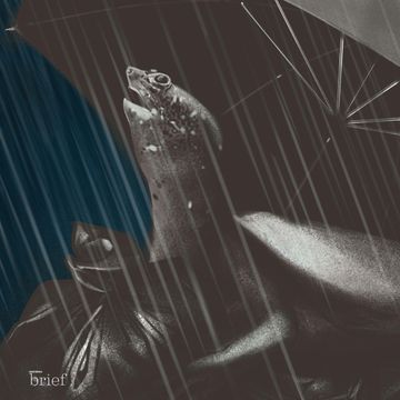 Brief #147 – Satelity z drewna, gaz z Azerbejdżanu i jadalne owady audiobook, Outride.rs