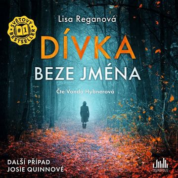 Dívka beze jména audiobook, Lisa Reganová