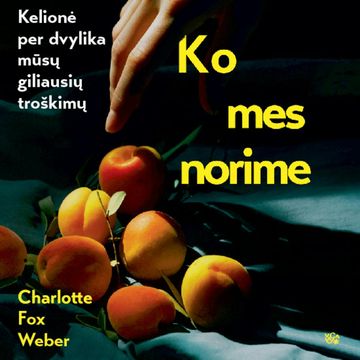 KO MES NORIME. Kelionė per dvylika mūsų giliausių troškimų audiobook, Charlotte Fox Weber