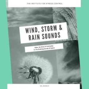 Wind, Storm & Rain Sounds for Deep Sleep, Meditation, Relaxation, European Institute For Stress Control
