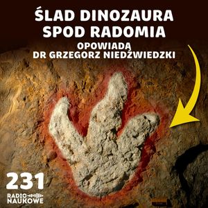 #231 Dinozaury – odkrycia z Polski pomagają zrozumieć ich dominację na Ziemi | dr Grzegorz Niedźwiedzki, Karolina Głowacka