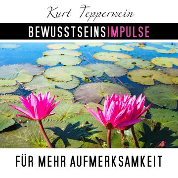 Bewusstseinsimpulse für mehr Aufmerksamkeit, Kurt Tepperwein
