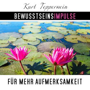 Bewusstseinsimpulse für mehr Aufmerksamkeit, Kurt Tepperwein