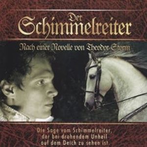 Der Schimmelreiter, Theodor Storm