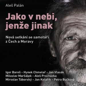 Jako v nebi, jenže jinak, Aleš Palán
