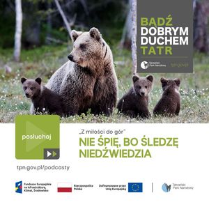 6. Świadomi Tatr: Nie śpię, bo śledzę niedźwiedzia, Bartek Solik