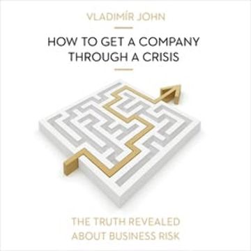How to get a company through a crisis audiobook, Vladimír John