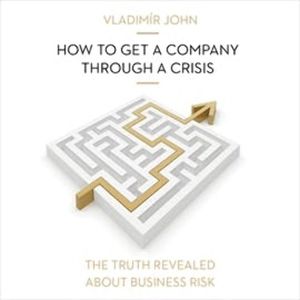 How to get a company through a crisis, Vladimír John
