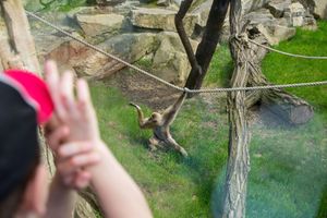 Už máme vztahy s AI. James Bridle ukazuje, že je nejvyšší čas navázat je i s inteligentními tvory, Andrea Procházková, Erik Tabery