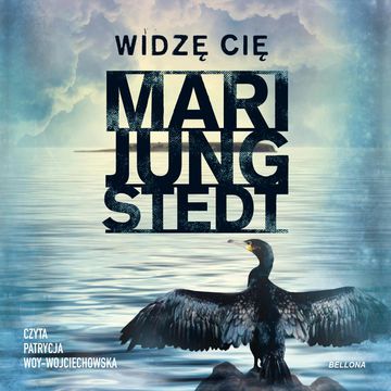 Widzę cię audiobook, Mari Jungstedt