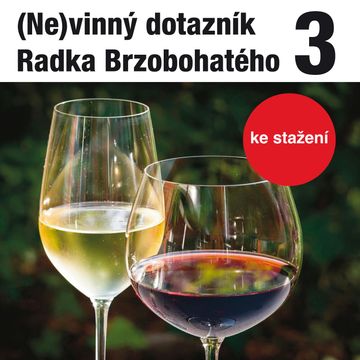 (Ne)vinný dotazník Radka Brzobohatého 3. audiobook, Radoslav Brzobohatý